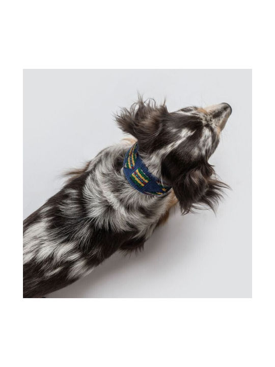 Buddys Hundehalsband Etna Blau L