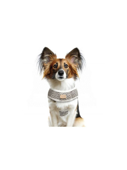 Milk & Pepper Black Dog Harness Kofi Crop 47