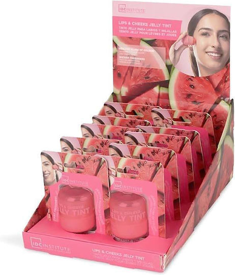 Magic Studio Stick Fard Obraz Natural Blush 9gr