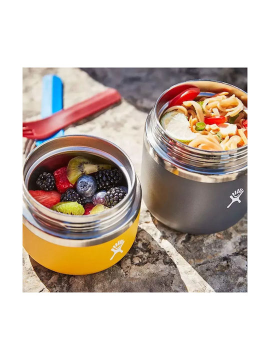 Hydro Flask Inox Lunchbox Isolierte Lunchbox Surf 355ml