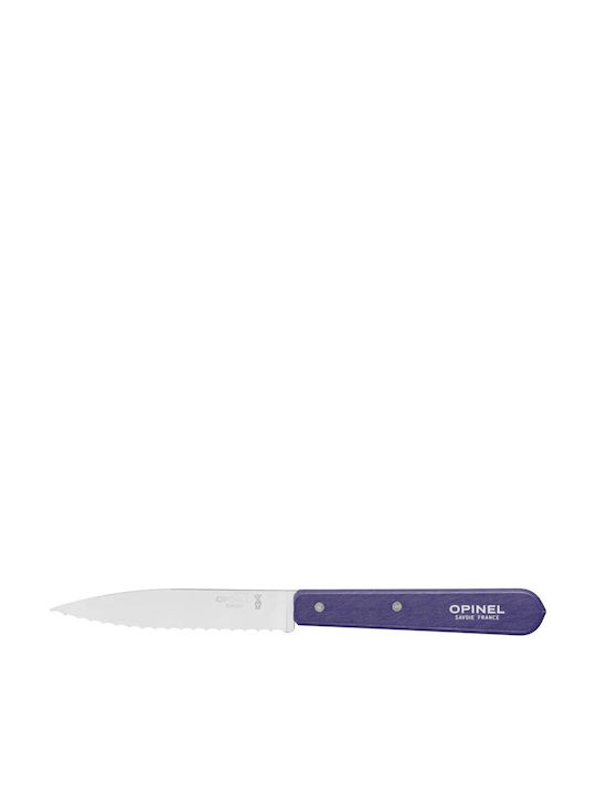 Opinel 113 Μαχαίρι Γενικής Χρήσης από Ανοξείδωτο Ατσάλι 10cm