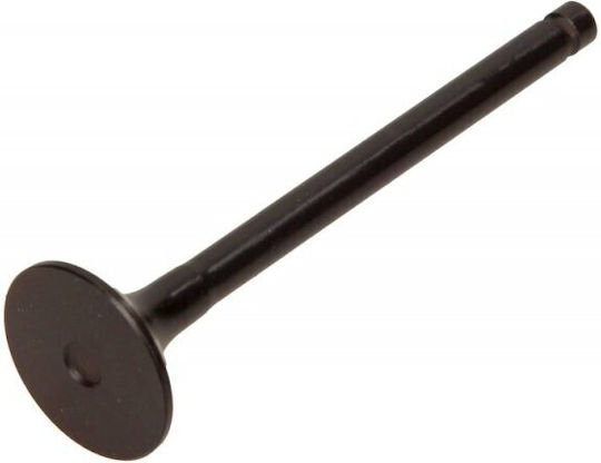 Freccia Exhaust Valve