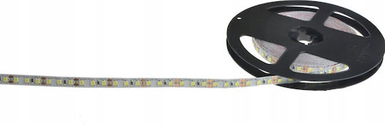 Tape Premium 12v 120led 6000-7000k Smd2835 5