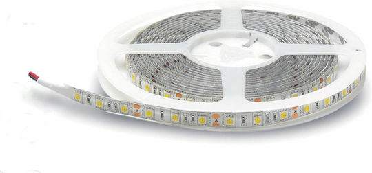 Lucas LED Strip 24V Warm White Light 5m