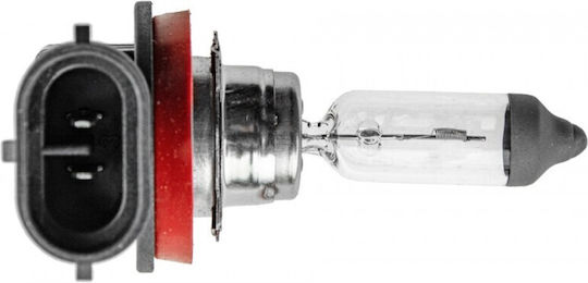 M-Tech Lamps Car & Motorcycle Standard H8 Halogen 12V 35W 1pcs