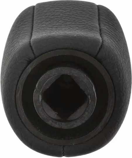 NTY 6 Shift Knob for Renault Laguna III 2007+ Silver /AJ