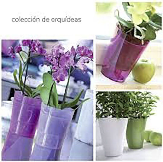 Iliadis Coubi Orchid Κασπώ Πλαστικό Διάφανο