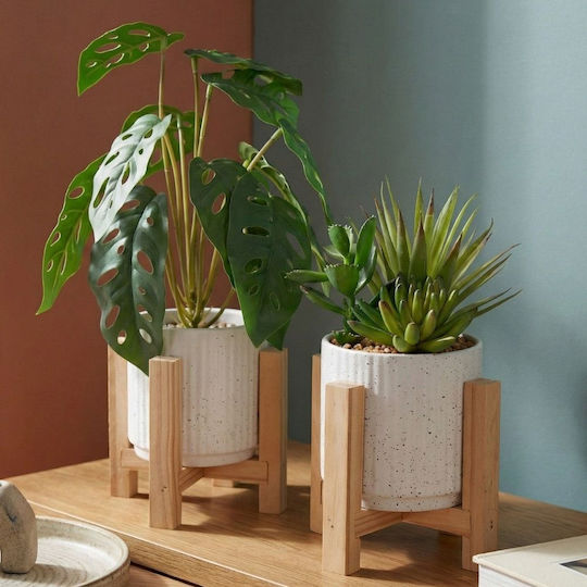 Iliadis Plant Pot Ceramic Multicolour