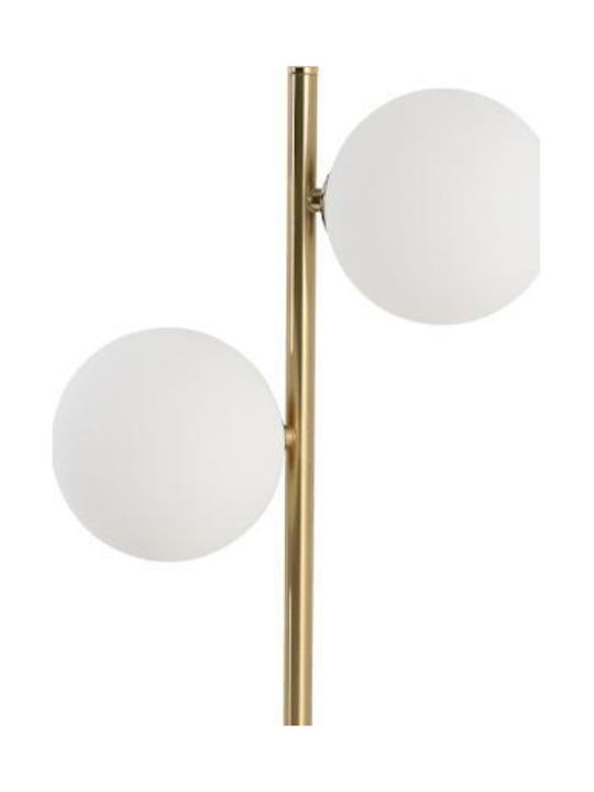 Light Prestige Schreibtischlampe für Fassung G9 in Gold Farbe