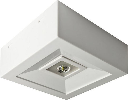 Awex LED Notausgangsleuchte 1Stück