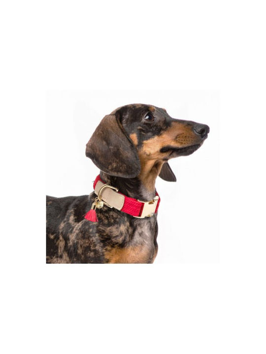 Milk & Pepper Verstellbares Hundehalsband Kaya 35 53 Cm Milk & Pepper Verstellbares Hundehalsband Kaya 35 53 Cm