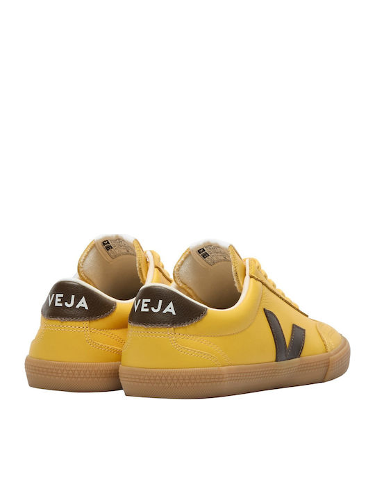 Women's Sneakers Women's