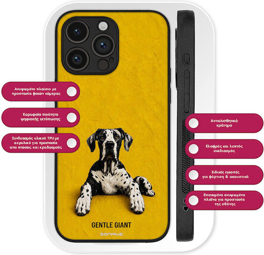 Sonique Case Men's Edition Xiaomi Xiaomi 17 5g Dalmatian Dog