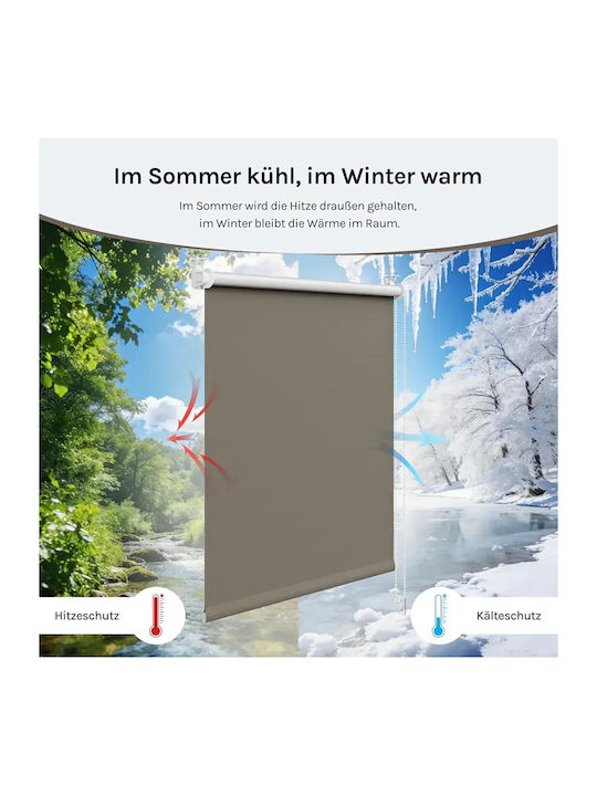 Woltu Woltu Rollos Verdunkelung Grau P60xH120cm