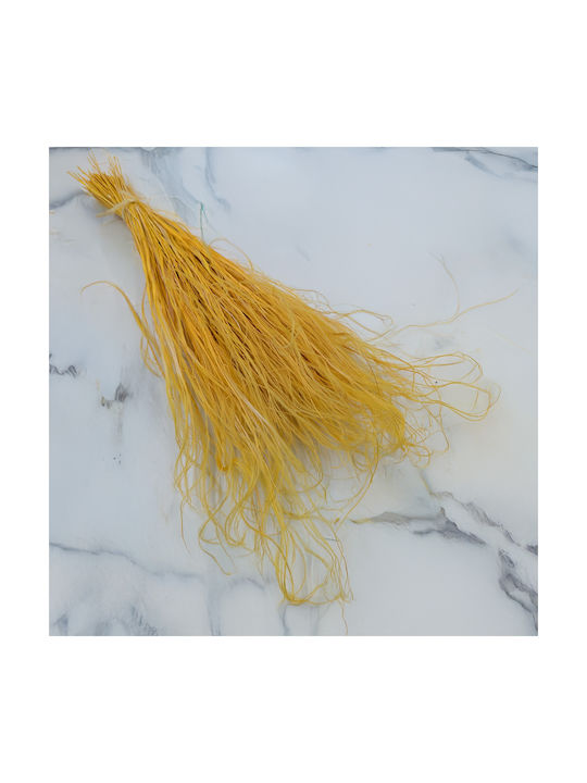 Dried Stipa Feather Grass Stipa Pennata Ginger