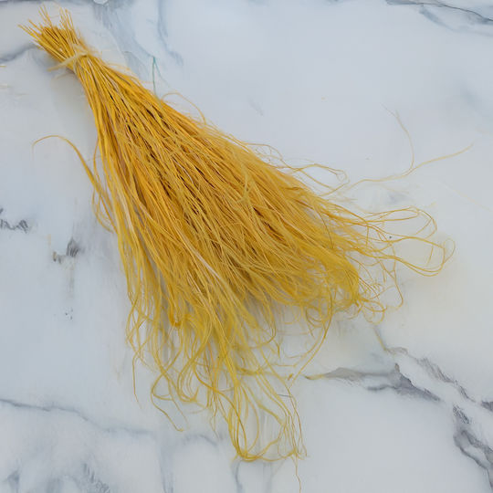 Изсушена Степна Трева Stipa Pennata Джинджифил