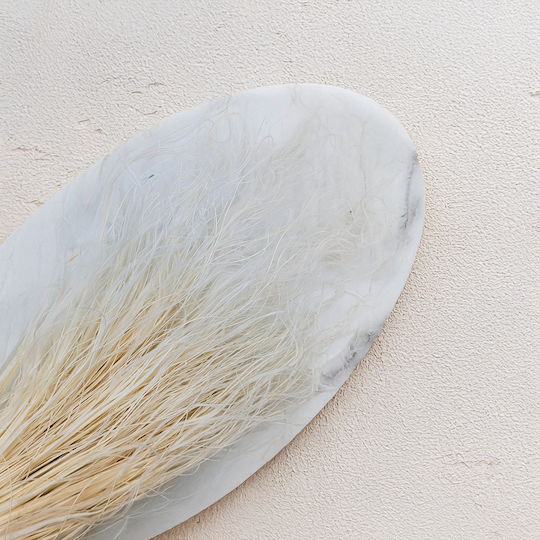 Dried Stipa Feather Grass Stipa Pennata Bleached