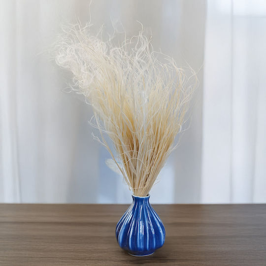 Iarbă Stipa Pennata Uscată Decolorată