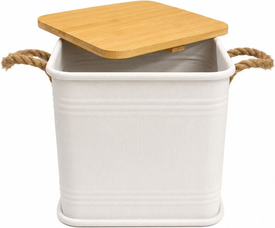 Metallische Aufbewahrungsbox mit Deckel Beige 26x26x26cm