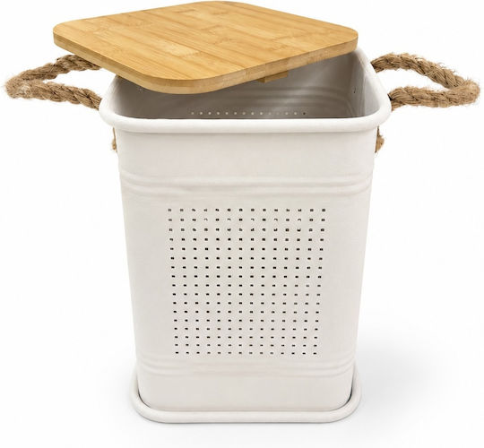 Metallic Storage Box with Lid