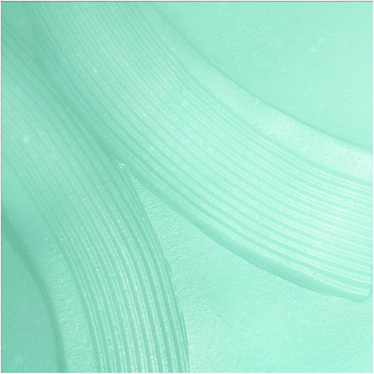 Garnier Sorbet Salicylic Fresh & Pure Light 48h Moisturizing Day Face Cream with Niacinamide & Centella Asiatica 85ml