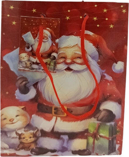 Christmas Gift Bag 15x6x12cm (Miscellaneous Colours)