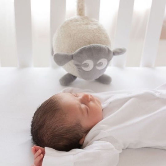 Baby Cloth Grey