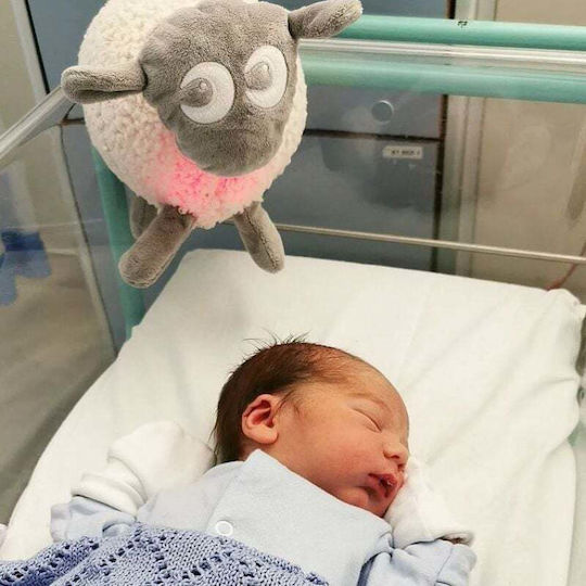 Baby Cloth Grey