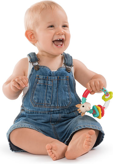 Baby Rattles