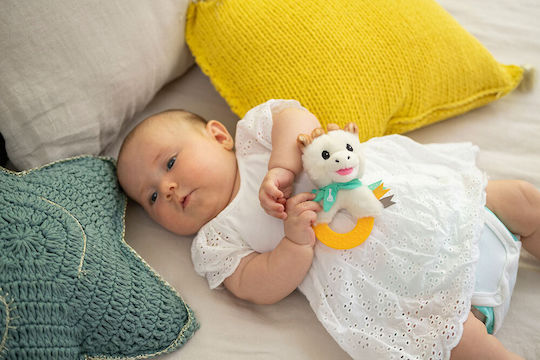 Baby Rattles