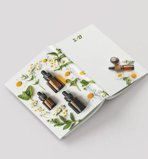 Wöchentliche Tagesordnung Taschenapotheke 2027 Margarita Code M-716-002 100 Stück