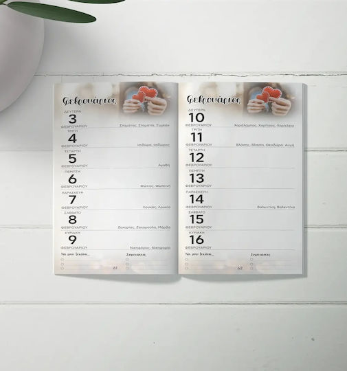 Weekly Pocket Agenda Pharmacy 2027 Pomegranate Design Code M-716-005 100 Pcs