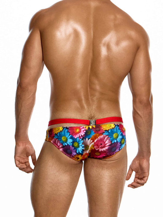 Modus Vivendi