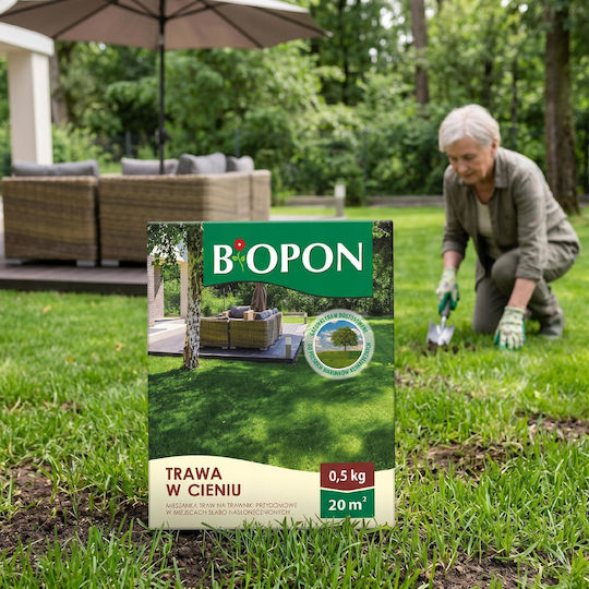 Bros Samen Für Schattenrasen 500gr