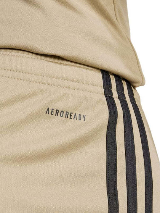 Adidas Squadra 25 M Jp3403 Pantaloni Scurți Bej Crem Negru