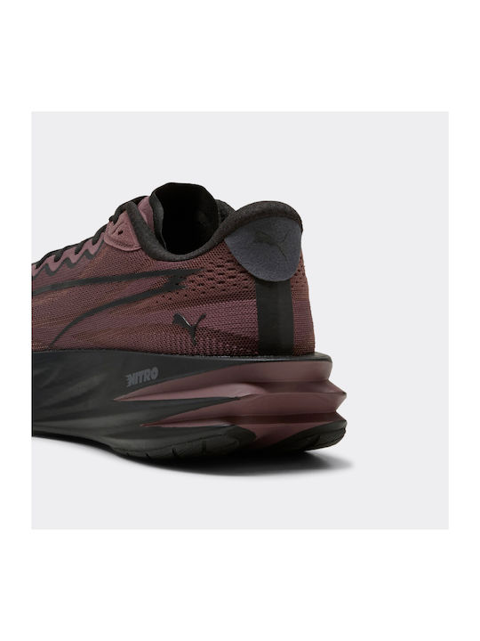 Deviate Pure NITRO Men's Sport Shoes Running Brown