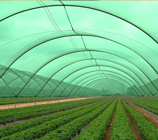 Grasher Plasă de Umbrire Verde la Rulou 6x50m