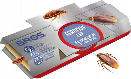 Bros Kakerlaken-Falle mit Klebefläche