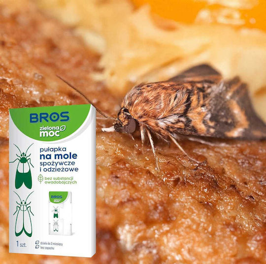 Bros Wespen- und Mottenfalle