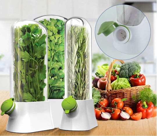 Ecarla Fresh Herb Storage Container Refrigerator Poj09