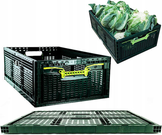 Plastic Green Storage Basket 46lt
