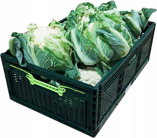 Plastic Green Storage Basket 46lt