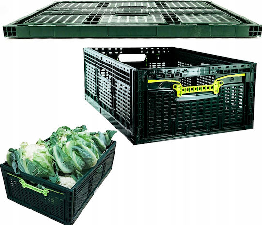Plastic Green Storage Basket 46lt