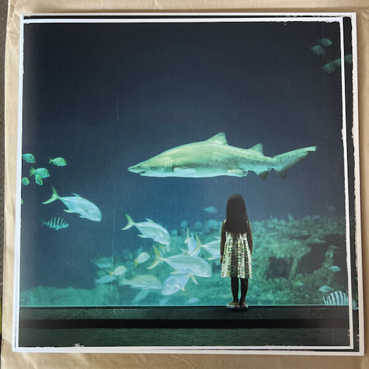 Bring Me Horizon Count Your Blessings Repented Vinyl