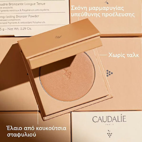 Caudalie Vinocrush Powder 8.5gr