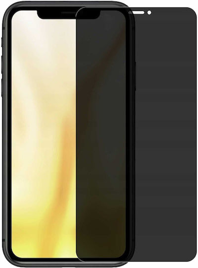 Spacecase Sticlă Tempered Glass Privacy 2.5D 0.33mm (iPhone 11 Pro)