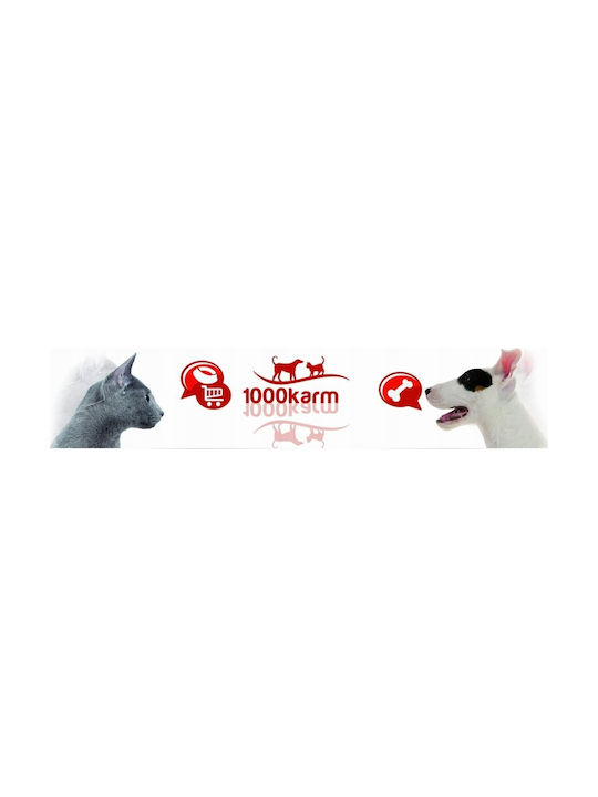 Barry King Frisbee 23.5εκ. Ροζ Barry King Frisbee 23.5εκ. Ροζ