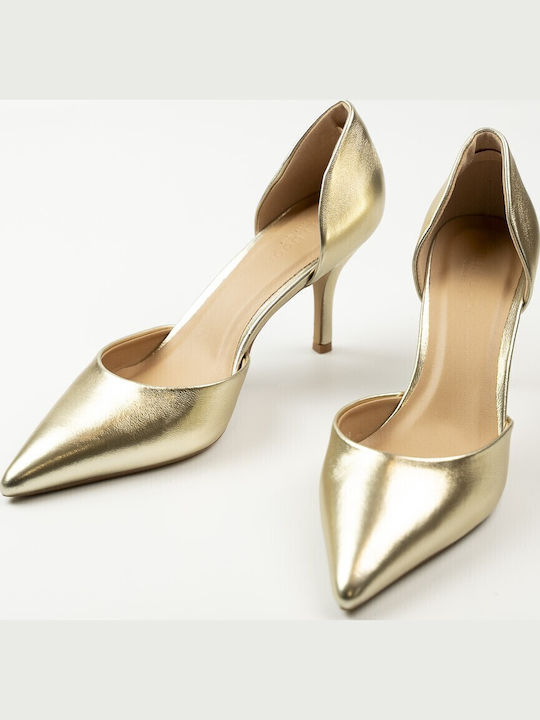 Pointed Toe Heels with Gold Stiletto Heel