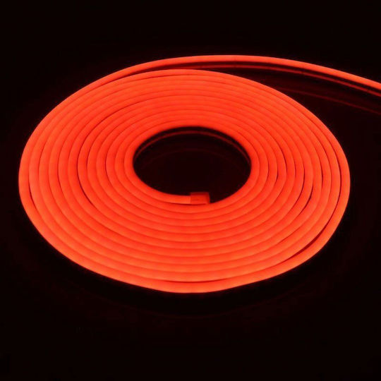 LED Strip Red Light 5m Neon Flex