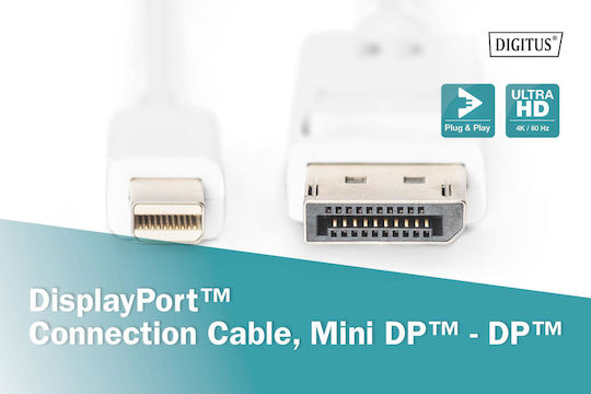 Digitus Cable DisplayPort male - mini DisplayPort male 2m White (AK-340102-020-W)